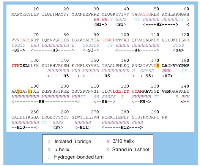 Figure 5