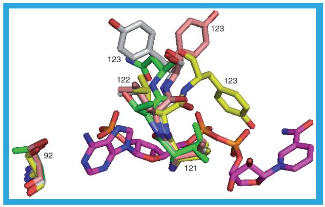 Figure 21