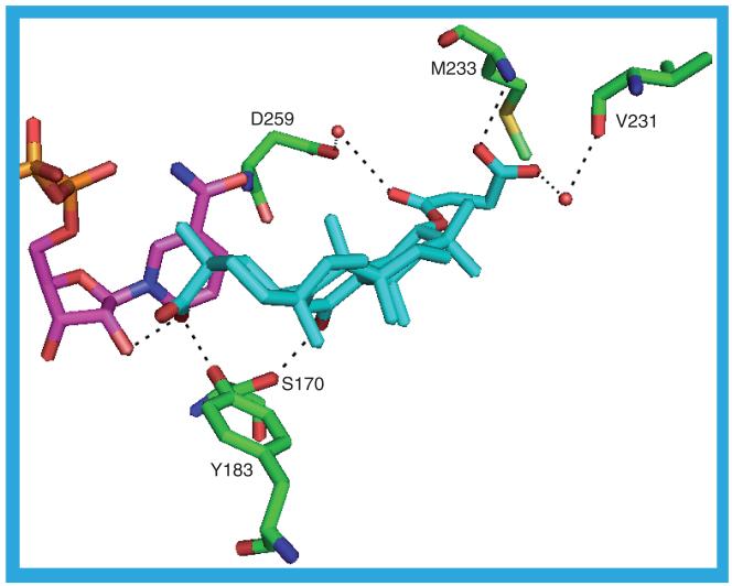 Figure 11