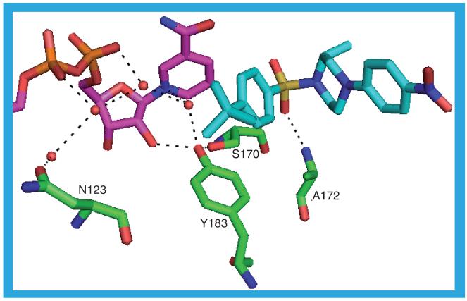 Figure 16