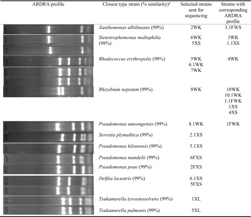 graphic file with name 11356_2017_9496_Tab1_HTML.jpg