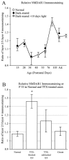 Fig. 10.