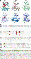 Figure 2 |