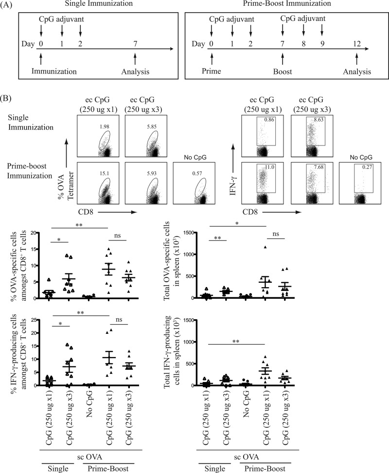 FIG 4