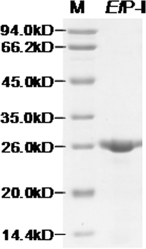 FIGURE 1.