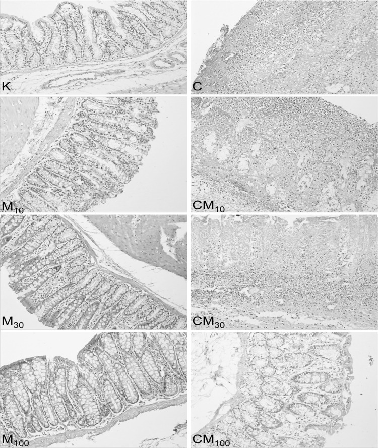 Fig. 3