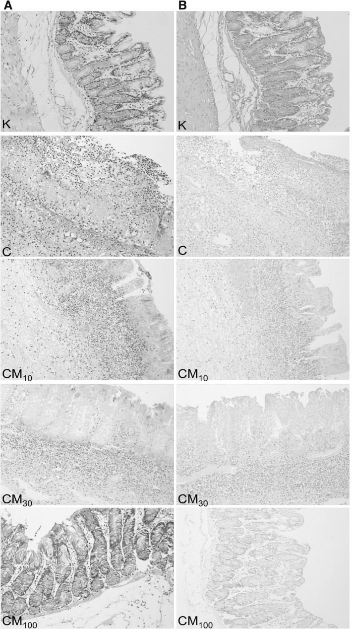 Fig. 4