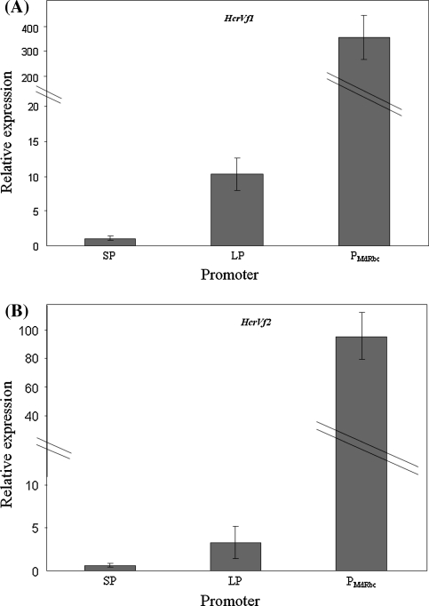 Fig. 4