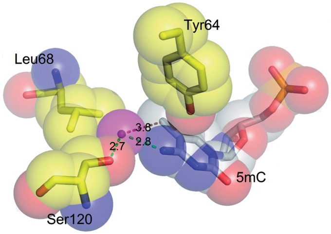 Figure 6.