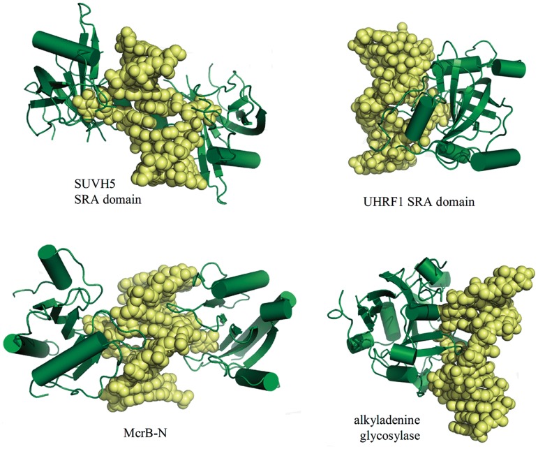 Figure 5.