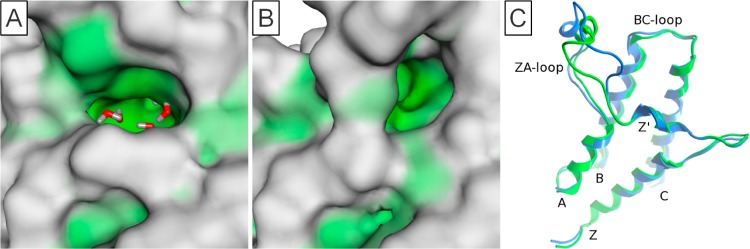 Figure 11