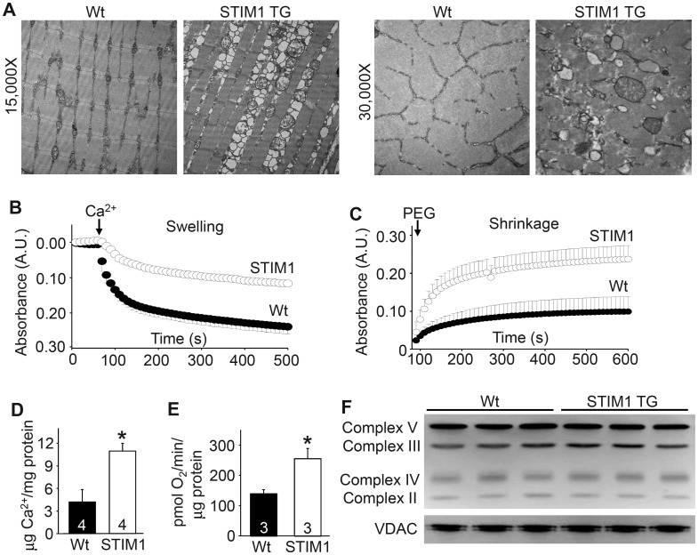 Figure 3.