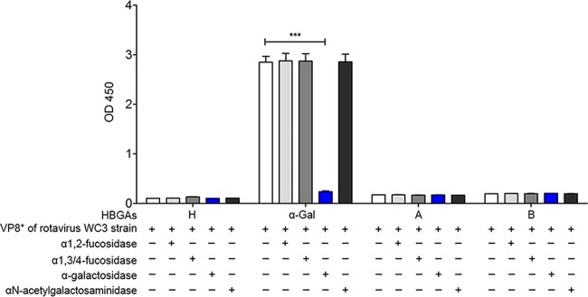 FIG 5