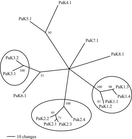 FIG. 3.