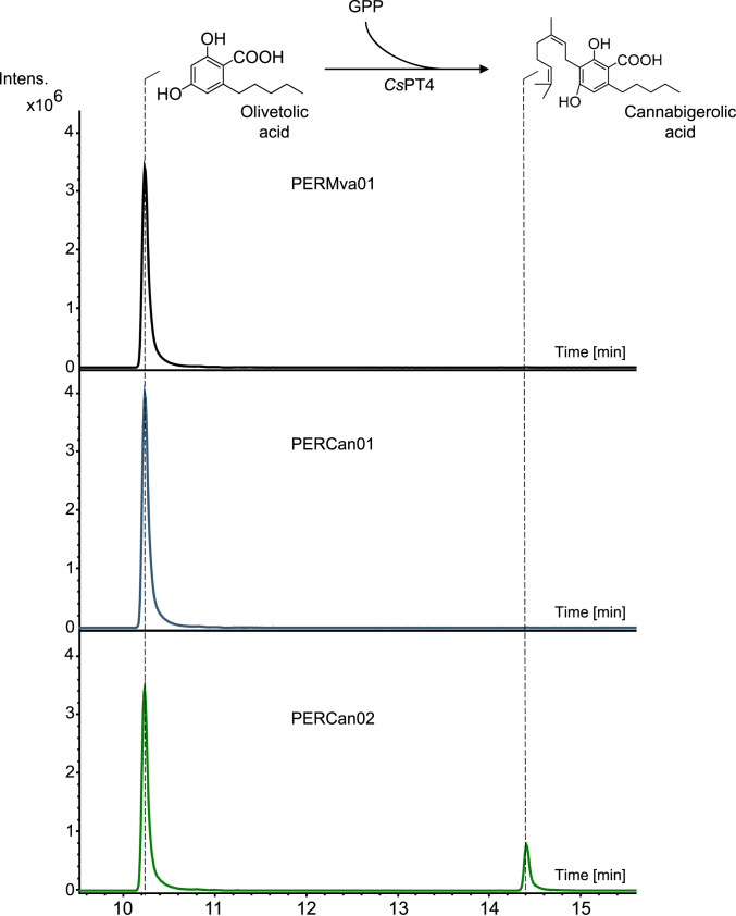 Fig. 6.