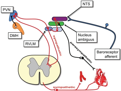 Fig. (2)