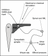Fig. (3)