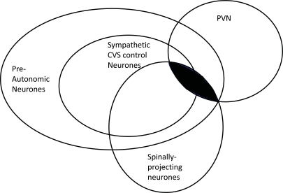 Fig. (1)