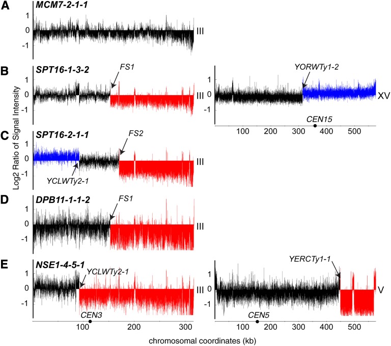 Figure4 