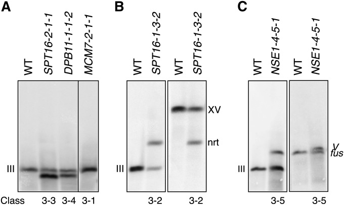 Figure 6 