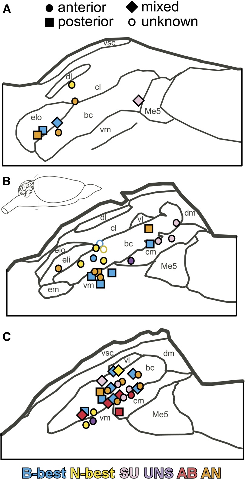 FIG. 8.