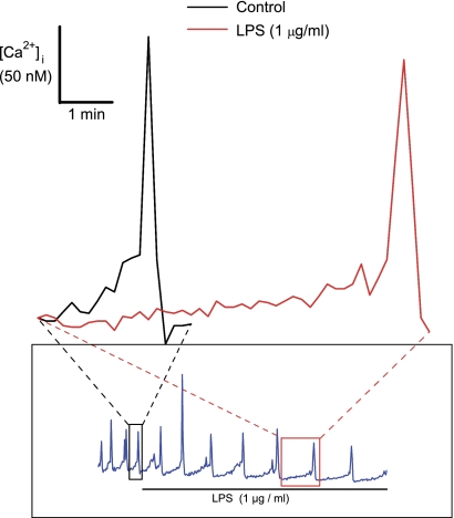 Fig. 7.