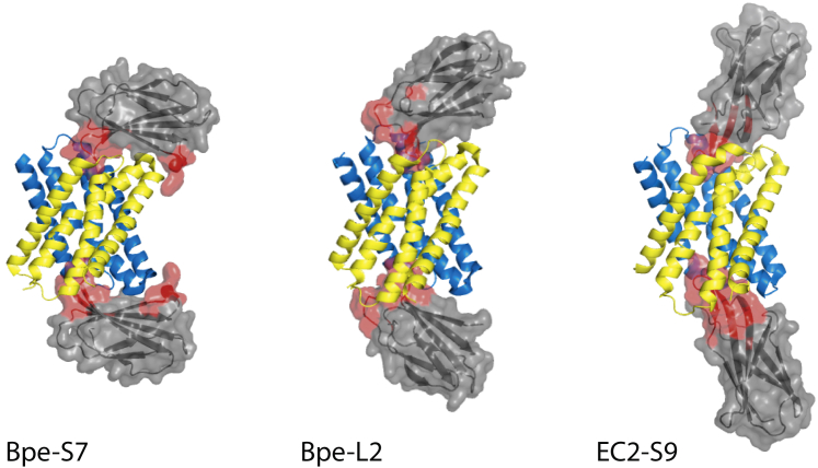 Figure 1