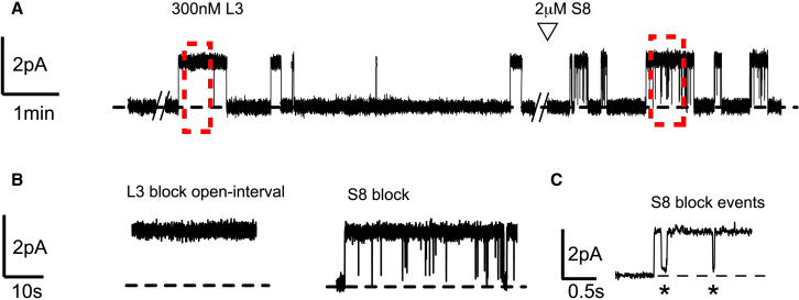 Figure 2