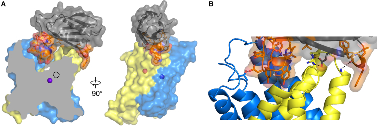 Figure 3