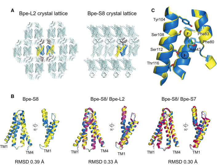 Figure 4