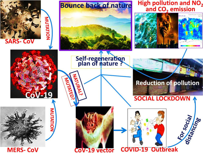 Unlabelled Image