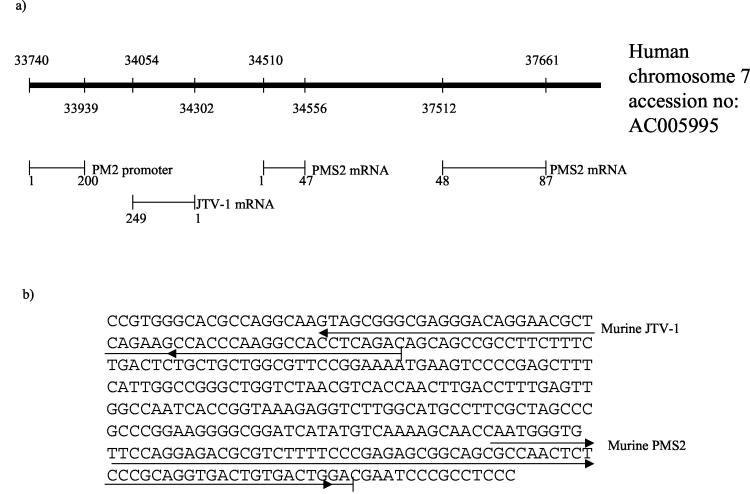 FIG. 8.