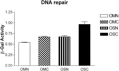 FIG. 10.