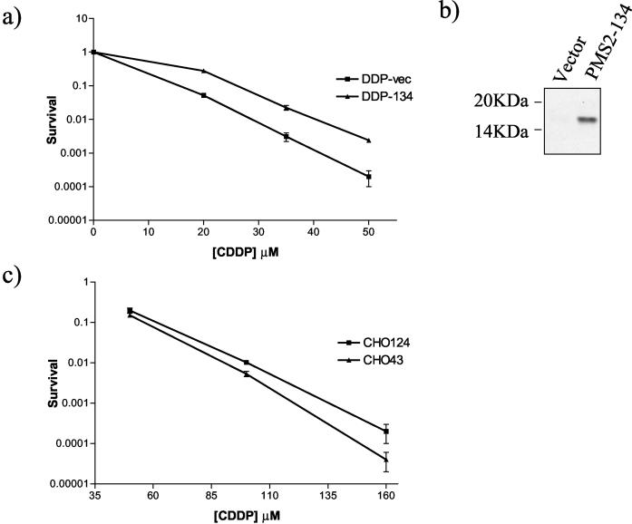 FIG. 11.