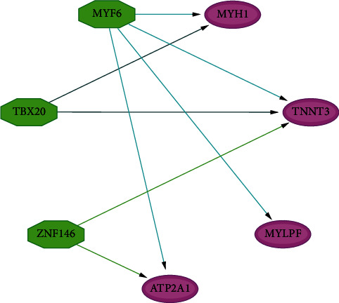 Figure 5