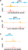 Figure 6—figure supplement 1.