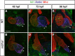 Figure 2—figure supplement 2.