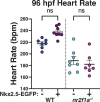 Figure 5—figure supplement 1.