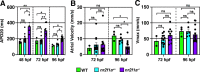 Figure 3—figure supplement 1.