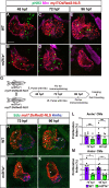 Figure 1—figure supplement 4.