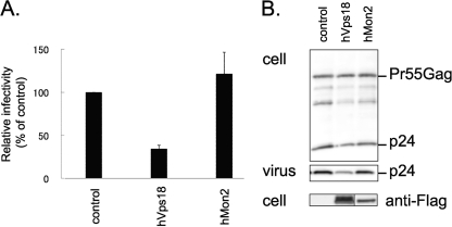 Fig. 5.