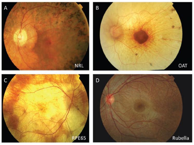 Fig. (3)