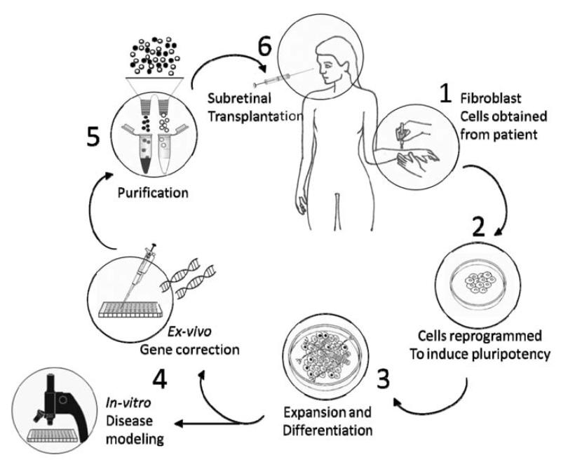 Fig. (2)