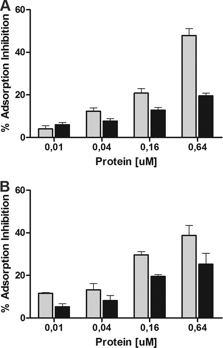 FIG 10