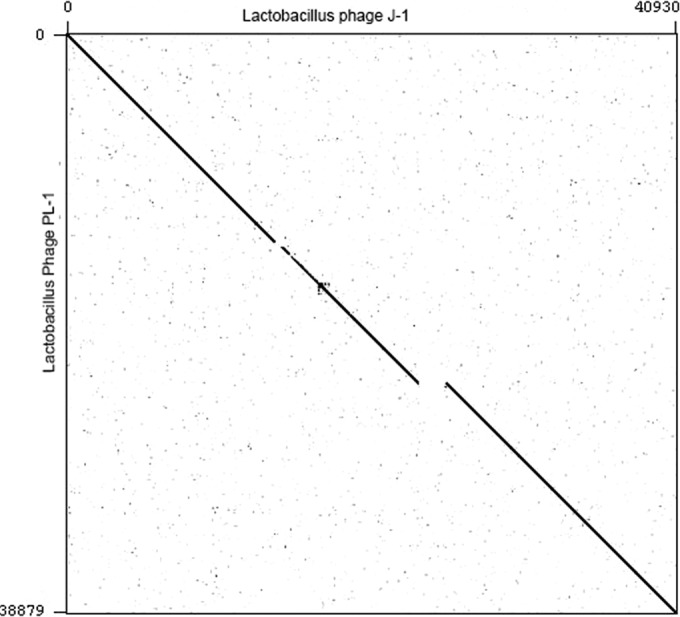 FIG 1