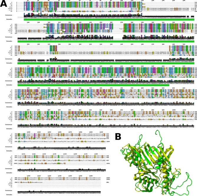 FIG 6