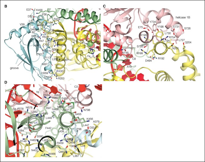 Figure 1—figure supplement 2.