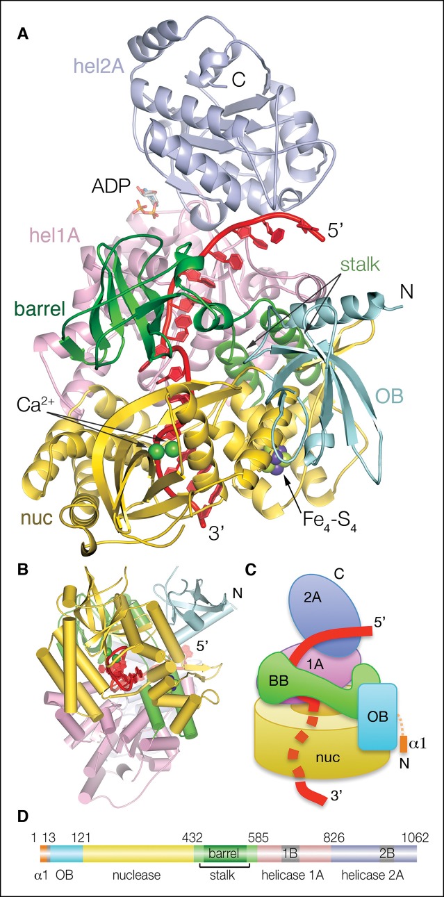 Figure 1.