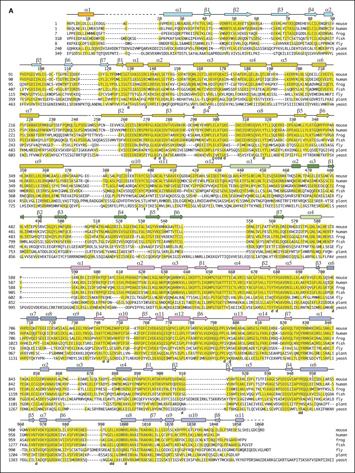 Figure 1—figure supplement 1.