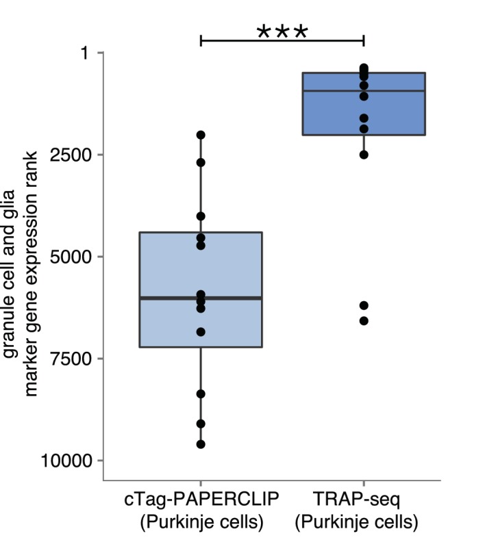 Figure 1—figure supplement 2.